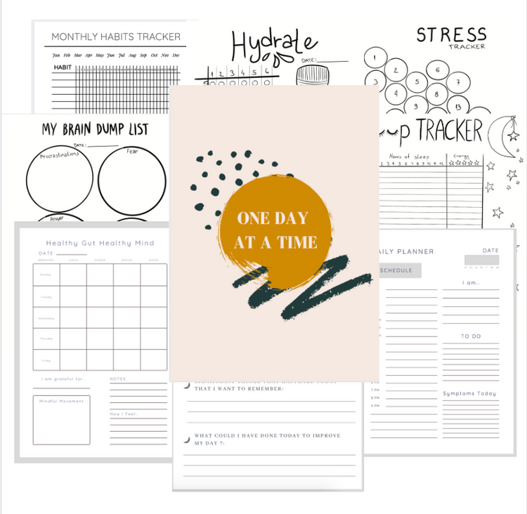 One Day At A Time: Planner/Journal